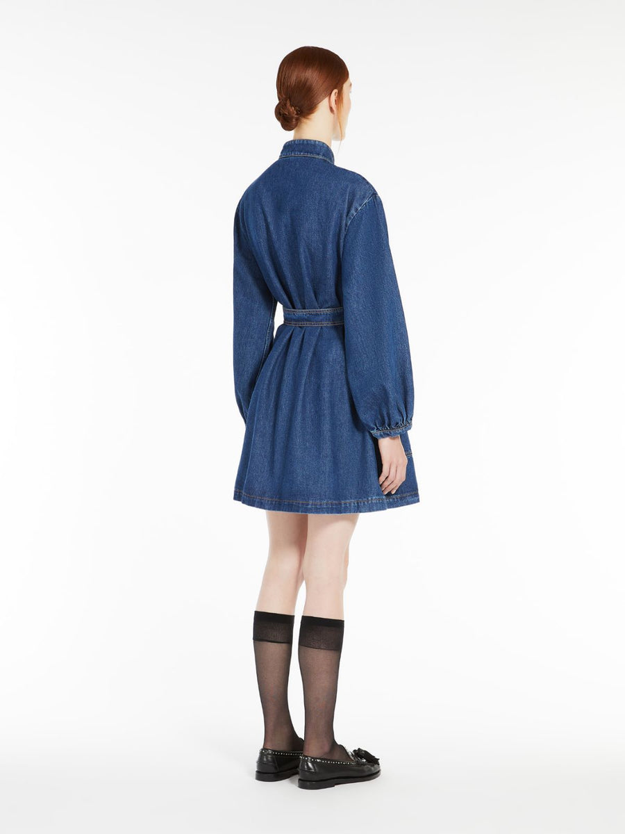 Weekend Max Mara Euro Dress - Blue